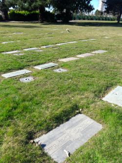 Image of flat headstones at Bonney Watson Cemetery